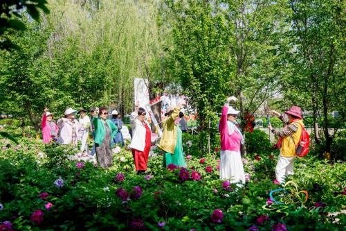 《太阳宫天姿牡丹节丨百年牡丹携珍品，限时共绽十日芳》 