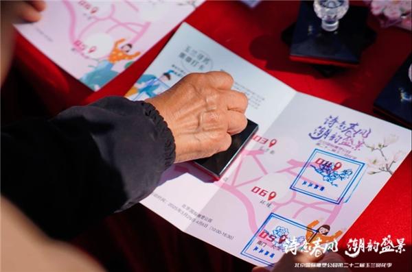 北京国际雕塑公园第二十二届玉兰赏花季圆满落幕 沉浸式文旅体验点燃春日经济
