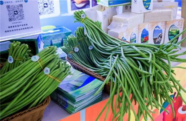 舌尖上的热带风暴—“海南鲜品”品牌推介活动上海站成功举办