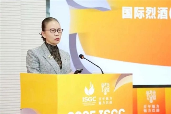 2025ISGC新闻发布会:开创赛事先河 引入安保机制