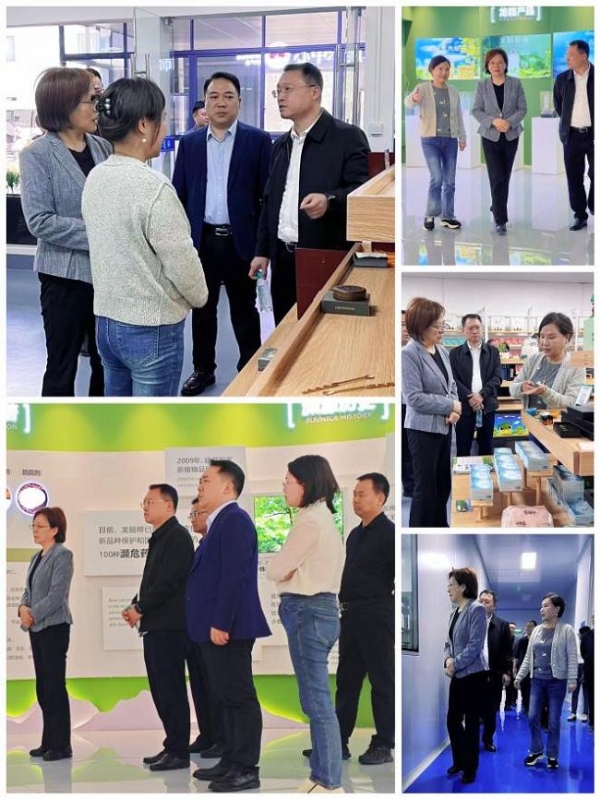 省县领导莅临考察新晃沛霖龙脑，助力龙脑产业蓬勃崛起，再启新篇