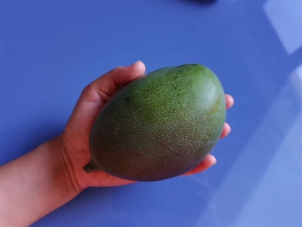 胡萝卜素是菠萝的45倍 热量比苹果还低！但吃芒果需当心