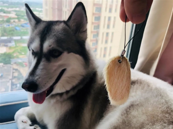 胡萝卜素是菠萝的45倍 热量比苹果还低！但吃芒果需当心