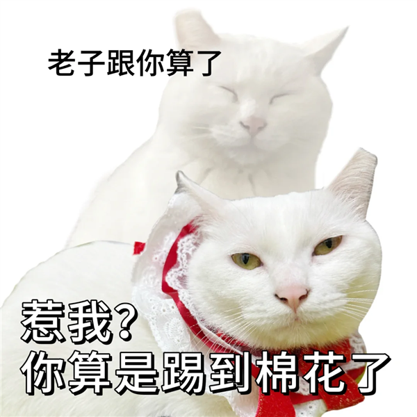 免费白嫖的数字人 正在直播间猛赚