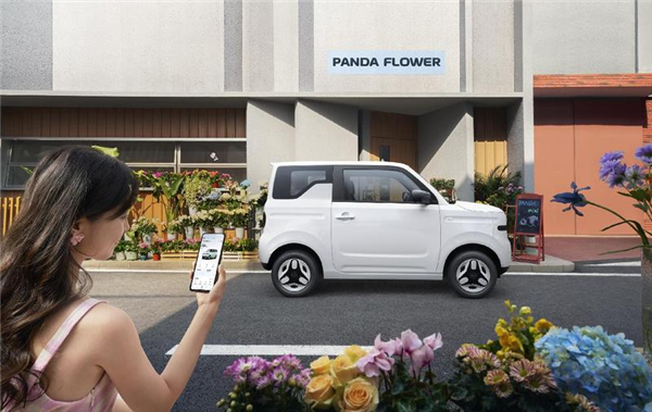 4.49万 新款吉利熊猫mini元气熊上市：小姐姐看了当场就下定