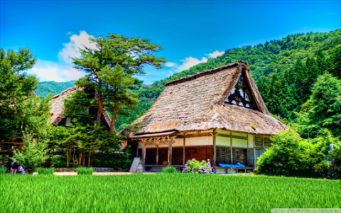 报价混乱、被代理拿捏，揭秘长视频招商产业链