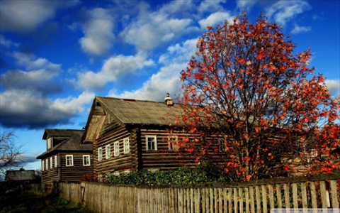换上西装的黄仁勋，仍想与中国市场双向奔赴