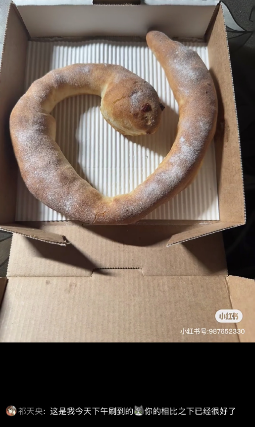 必胜客双蛇披萨走红 网友直呼抽象到没边