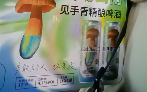 云南人把见手青做成啤酒：没有毒、喝了也不会产生幻觉