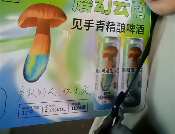 云南人把见手青做成啤酒：没有毒、喝了也不会产生幻觉