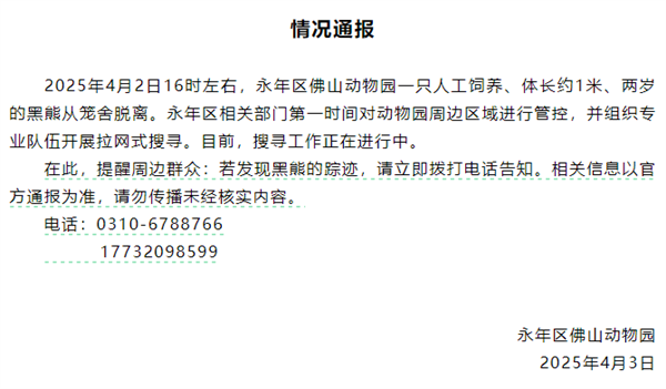 小心熊出没！国内一动物园一头黑熊逃离：至今仍未找到