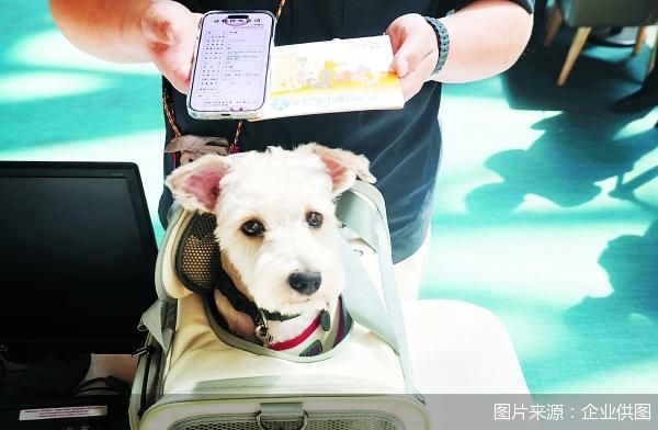 图片来源：企业供图