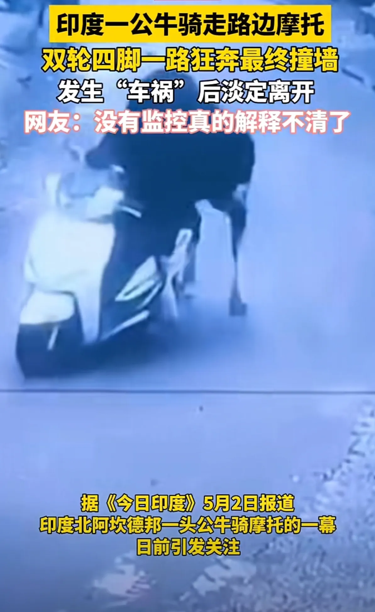 印度一头公牛骑走路边摩托 街头‘牛车大战’笑翻全网”