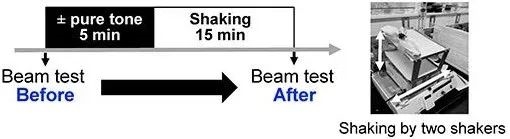 科学家找到了晕车克星 一分钟搞定 快来试试