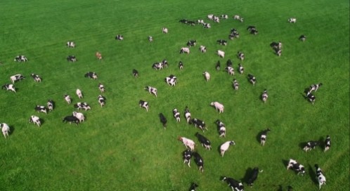 荷兰进口奶粉第一名是？海普诺凯荷致重磅升级，全方位守护宝宝成长