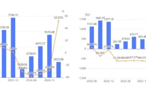 完美世界2024年及2025Q1财报解读：业绩触底反弹，聚焦成效显现