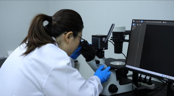 儿童牙膏弯道超越——打破国外技术垄断，兔头妈妈国产“高纯奥拉氟”站上台前