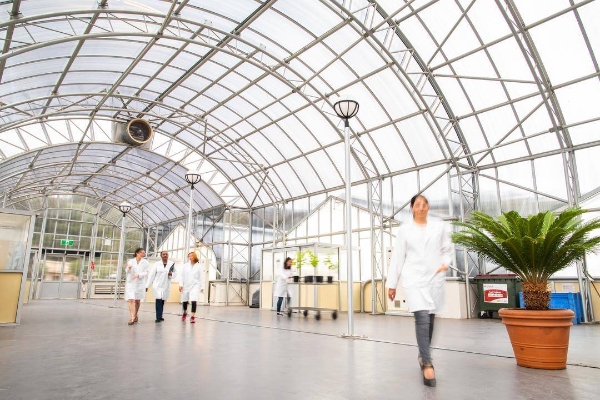 百年传承 创新领航——世界排名82位澳大利亚学术明珠阿德莱德大学巡礼