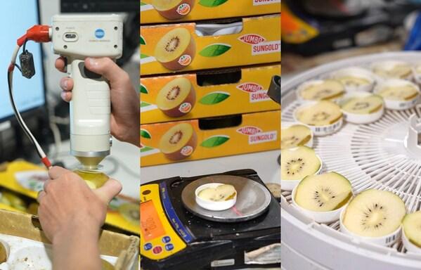 佳沛携专家走进新西兰：破局"隐性饥饿"，探秘奇异果如何引领水果营养"金"未来