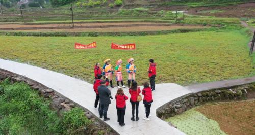 四色凝萃金六保——解码四川子仁制药的产品文化密码