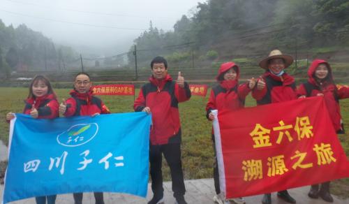 四色凝萃金六保——解码四川子仁制药的产品文化密码