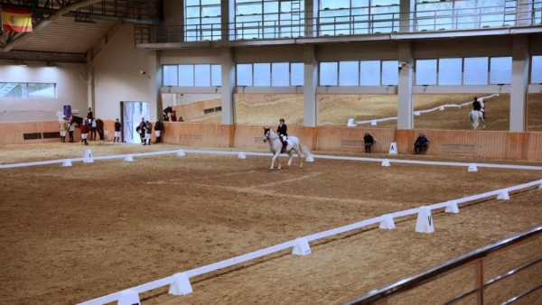 马术集结！“驭见未来·感恩同行”世纪万马马术障碍赛5.18燃情开赛