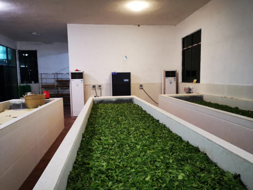  一个冷知识：梅雨季来了，如何把控好茶空间湿度？