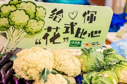  太太乐携手海波集市，政企民三方共建可持续消费新生态 