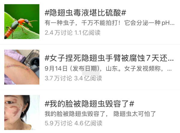 有人因此“毁容”!近期这种虫子很活跃 遇到千万不能拍