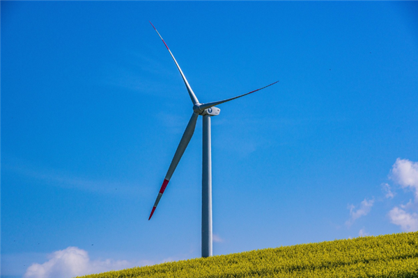 国家电网：我国自主研发的新能源大电网运控系统发布