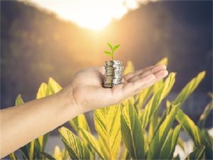 2025年创业担保贷款政策指南:哪些人群可享受免抵押政策？