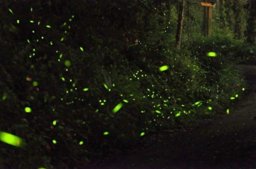 （图片来源：kkday）