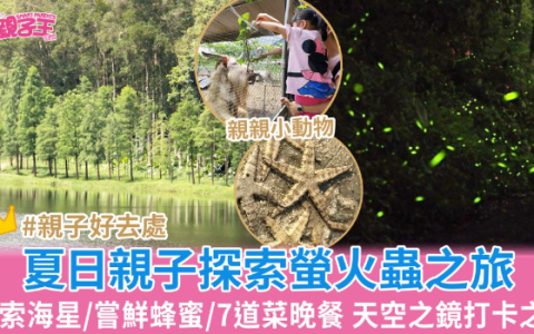 亲子生态体验 | 沙螺洞萤火虫游/海星探索/蜂蜜农庄