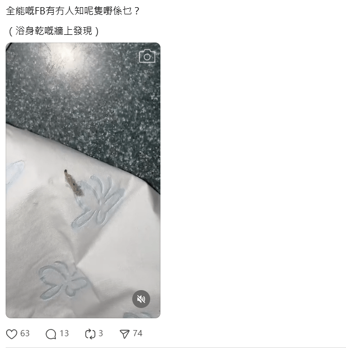 近日有居民在浴室墙面发现一种以白色薄膜包裹的奇特昆虫，只露出头部缓慢移动。