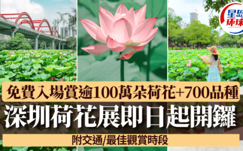 深圳荷花展开幕！免费入场赏逾100万朵荷花+700品种