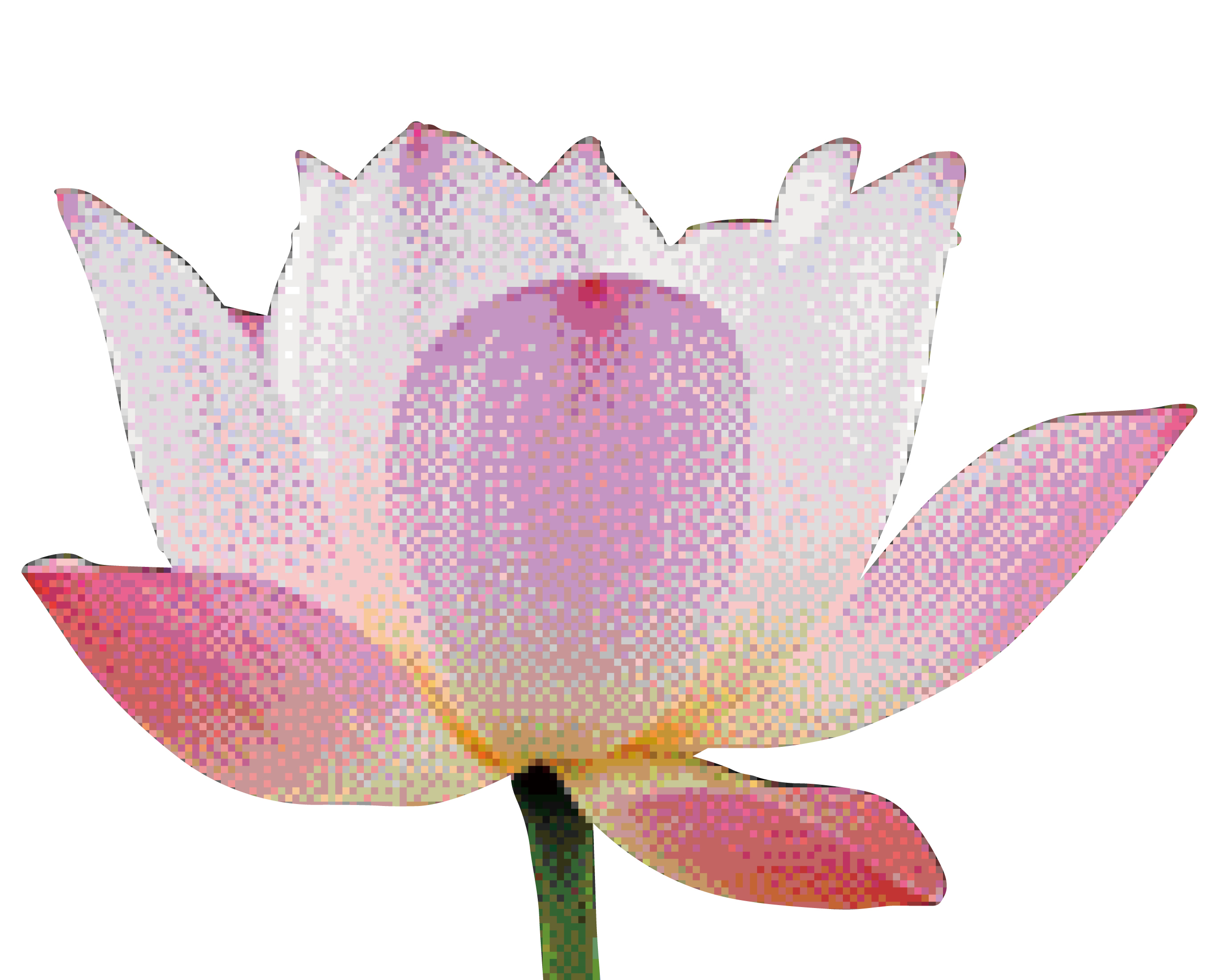 ArtCan艺文聚焦 | 荷香融萬象，和合耀香江