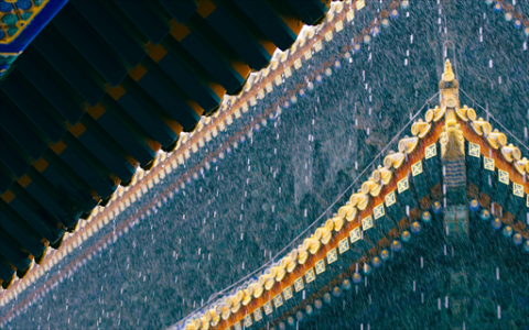 红星美凯龙：锚定“场景化生态” 电器战略升级 破局存量竞争