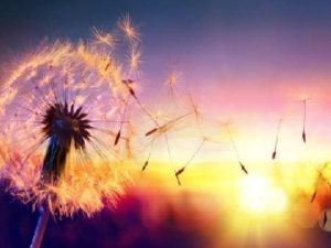 2025年金融科技监管沙盒政策有哪些关键调整？