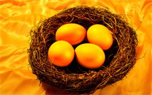 2025科创债ETF申购实操指南