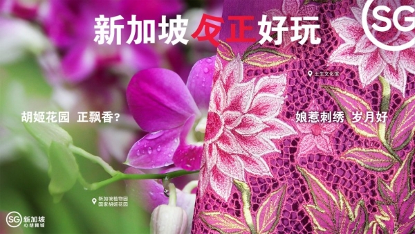 「新新银龄青年」计划全国招募启动,新加坡:@一个“反正好玩”的你