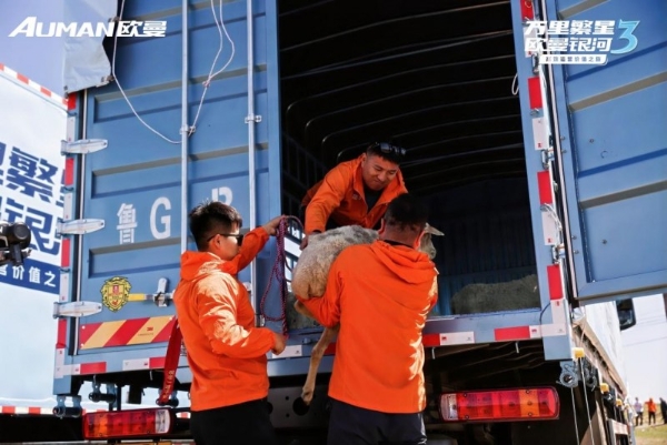 驰骋南北运输线 一路领“鲜”！欧曼银河3高效运营价值之旅再启程