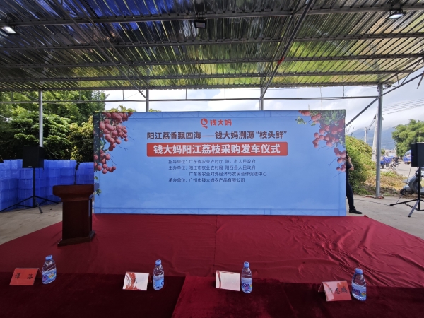  钱大妈“荔枝专线”发车，助力阳江妃子笑“鲜”达全国
