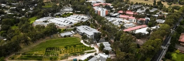  「从守护一粒种子，到酿出一杯未来」—— 在阿德莱德，培养未来农业变革者！