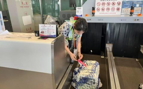 东航“宠物进客舱”服务拓展至17条航线