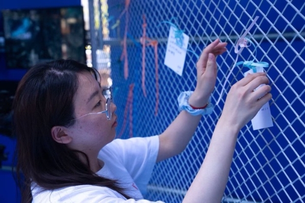 亿角鲸「Blue UP蔚蓝力量」2025：共织新生岛·再生蓝未来——公众艺术重塑海洋生命力 