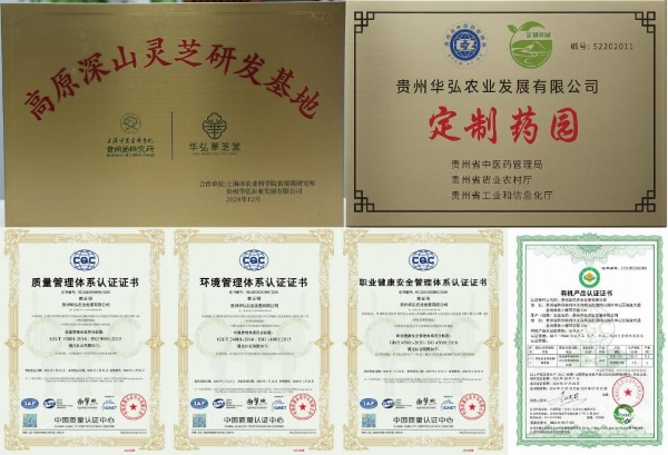 从深山秘境到消费信任:华弘草芝堂如何用“真实溯源直播”定义灵芝 滋补 行业新标杆?
