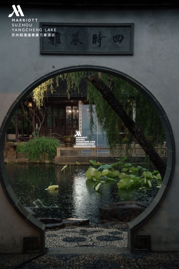 苏州阳澄湖泰康万豪酒店浮生艺术展成功举办,启幕江南艺术旅居新范式