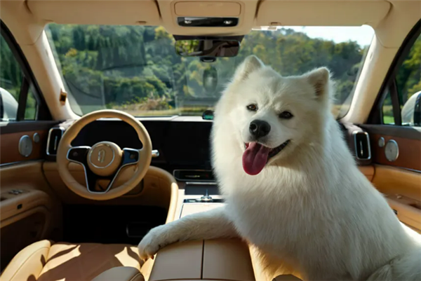 50万级销冠升级！问界M9迎OTA：智驾自动鸣笛、隔空开门