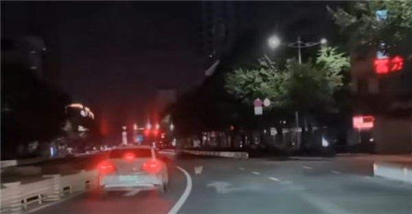 华为AEB救了一条狗命