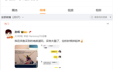 孙杨回应在闲鱼买绝版潮玩被认出 网友：比买Labubu强